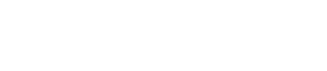 NAGA238 logo